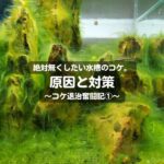 【時間に余裕がない方必見】QOLを上げる5つのアイテムを厳選紹介